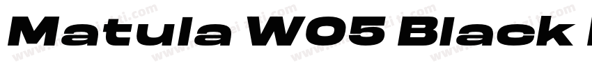 Matula W05 Black Ita字体转换
